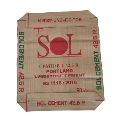 Polipropilene tessuto blocco valvola di fondo sacchetti di cemento in PP 20kg 25kg 30kg 40kg 50kg contenitori di imballaggio
