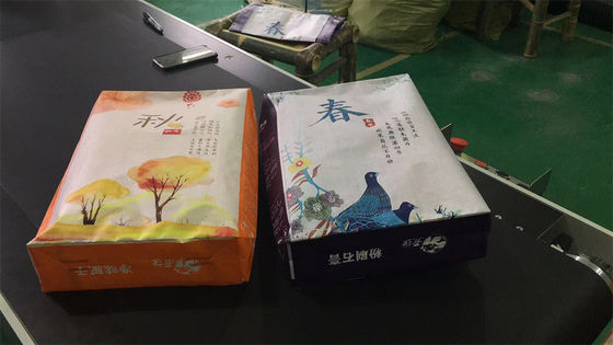 La stella BOPP dell'annuncio ha laminato la borsa inferiore tessuta pp 40KG 50KG del blocchetto di plastica del cemento delle borse