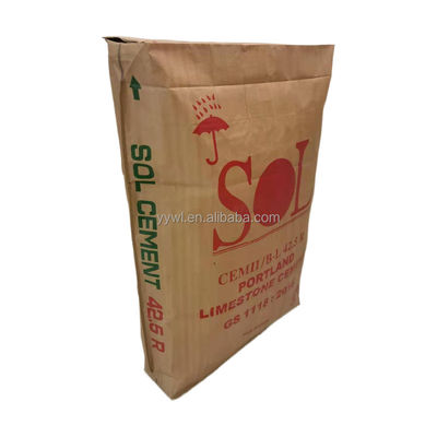 25 kg di sacchetti di valvole in PP 100 kg 50 25 di sacchetto di polipropilene di cemento
