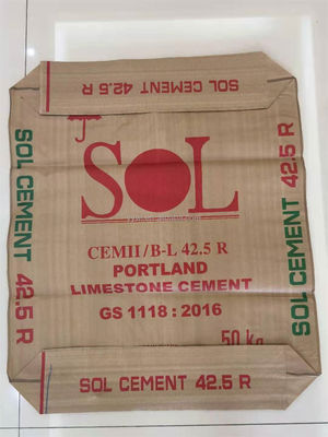 25 KG 40 KG 50 KG PP sacchetto tessuto sacchetto di cemento sacchetto vuoto sacchetto di cemento sacchetto di valvole PP