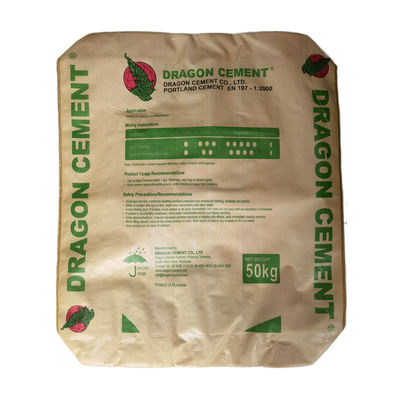 25 KG 40 KG 50 KG Sacchetti di cemento per valvole in PP tessuti Sacchetto vuoto Imballaggio per stampa flessibile industriale