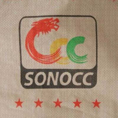 25-50 kg PP sacchetto di cemento tessuto con valvola resistente all'umidità certificato ISO