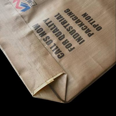 Sacco valvola in PP a prova di umidità con termosaldatura per cemento e gesso in polvere da 20kg-50kg