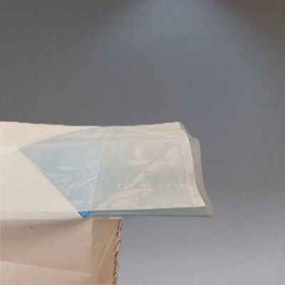 Sacchi valvola in PE per nero di carbonio da 25KG per impieghi gravosi con valvola a scomparsa