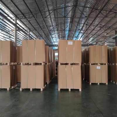 Sacchetto di valvole in tessuto PP impermeabile per imballaggi di cemento pesanti da 50 kg