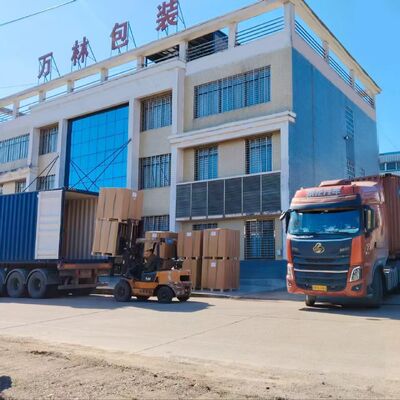 Sacchetto di valvole in tessuto PP impermeabile per imballaggi di cemento pesanti da 50 kg