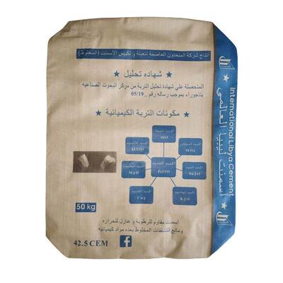 Sacco in PP per cemento da 50 kg, resistente all'umidità, fondo quadro, valvola, sacco in PP tessuto da 75 g/m² a 90 g/m²